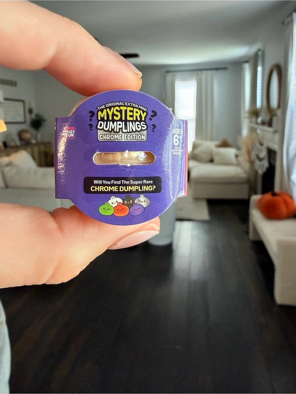 ✨ RMS extra mini Mystery Dumplings Chrome Edition Collectible ✨ 🧡